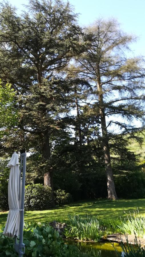 Les Palmiers Bed & Breakfast Mauves Екстериор снимка