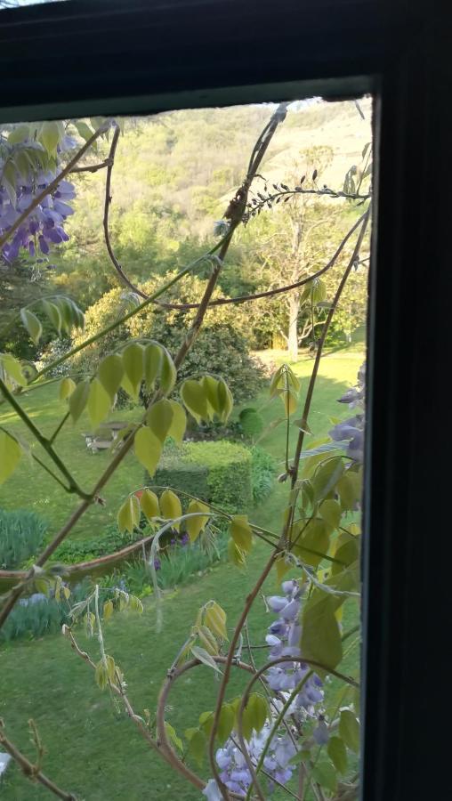 Les Palmiers Bed & Breakfast Mauves Екстериор снимка